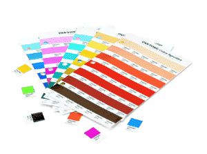 Professional Web Design